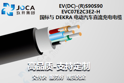 ������ DEKRA �綯 ����ֱ��������