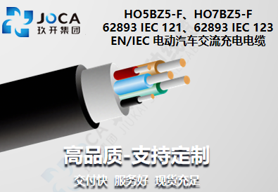 EN/IEC �綯��������������